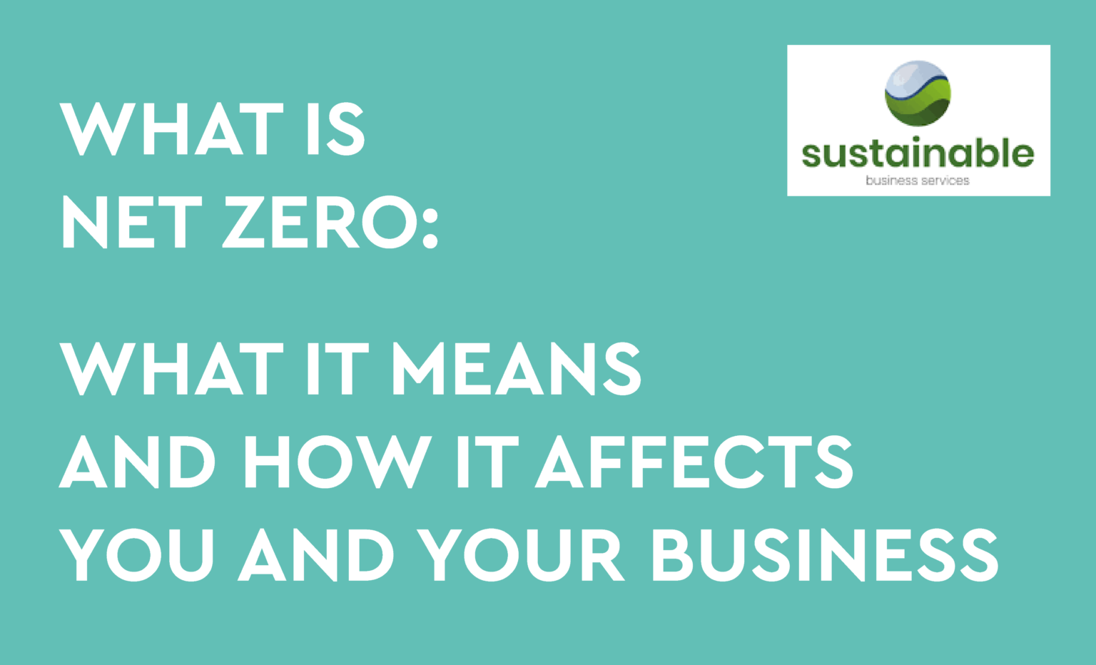 what-is-net-zero-nel-fund-managers-limited