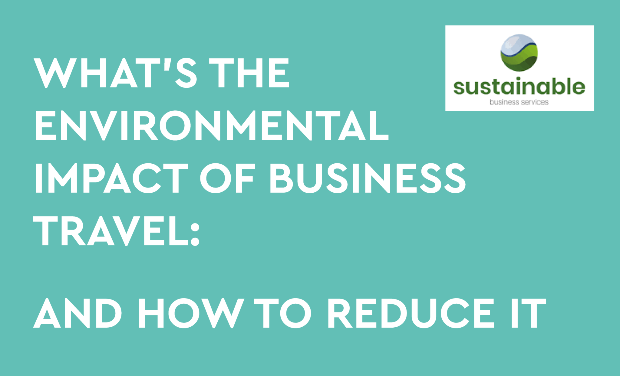 environmental impact of business travel